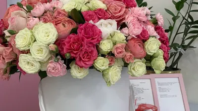 Beauty Hall